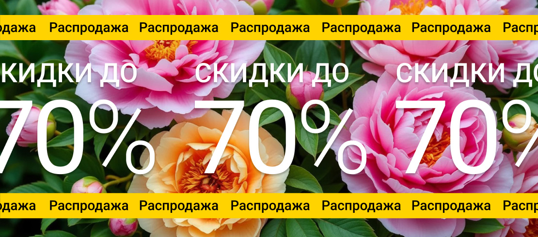 Sale 2026