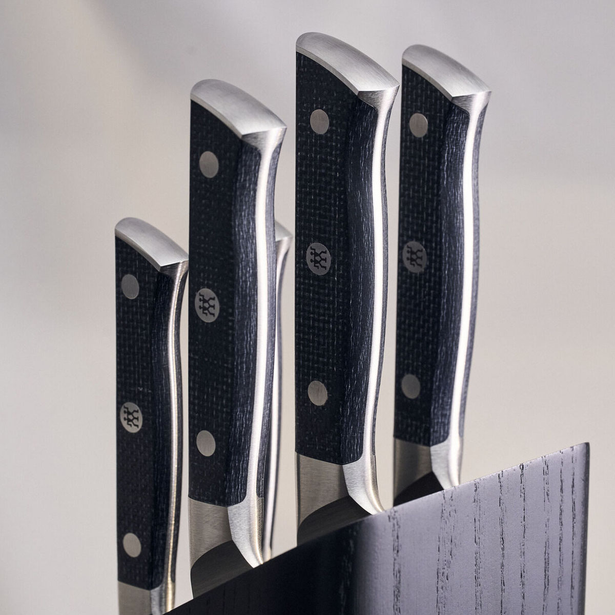 Набор ножей Zwilling Spectrum 5шт в подставке