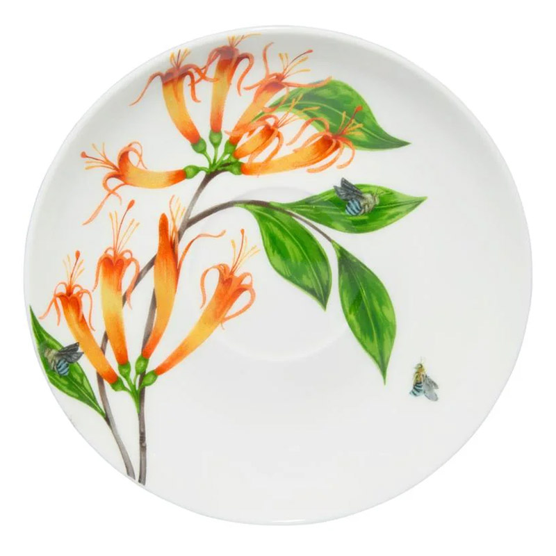 Пара чайная Maxwell & Williams Lyric Бородавчатый медосос