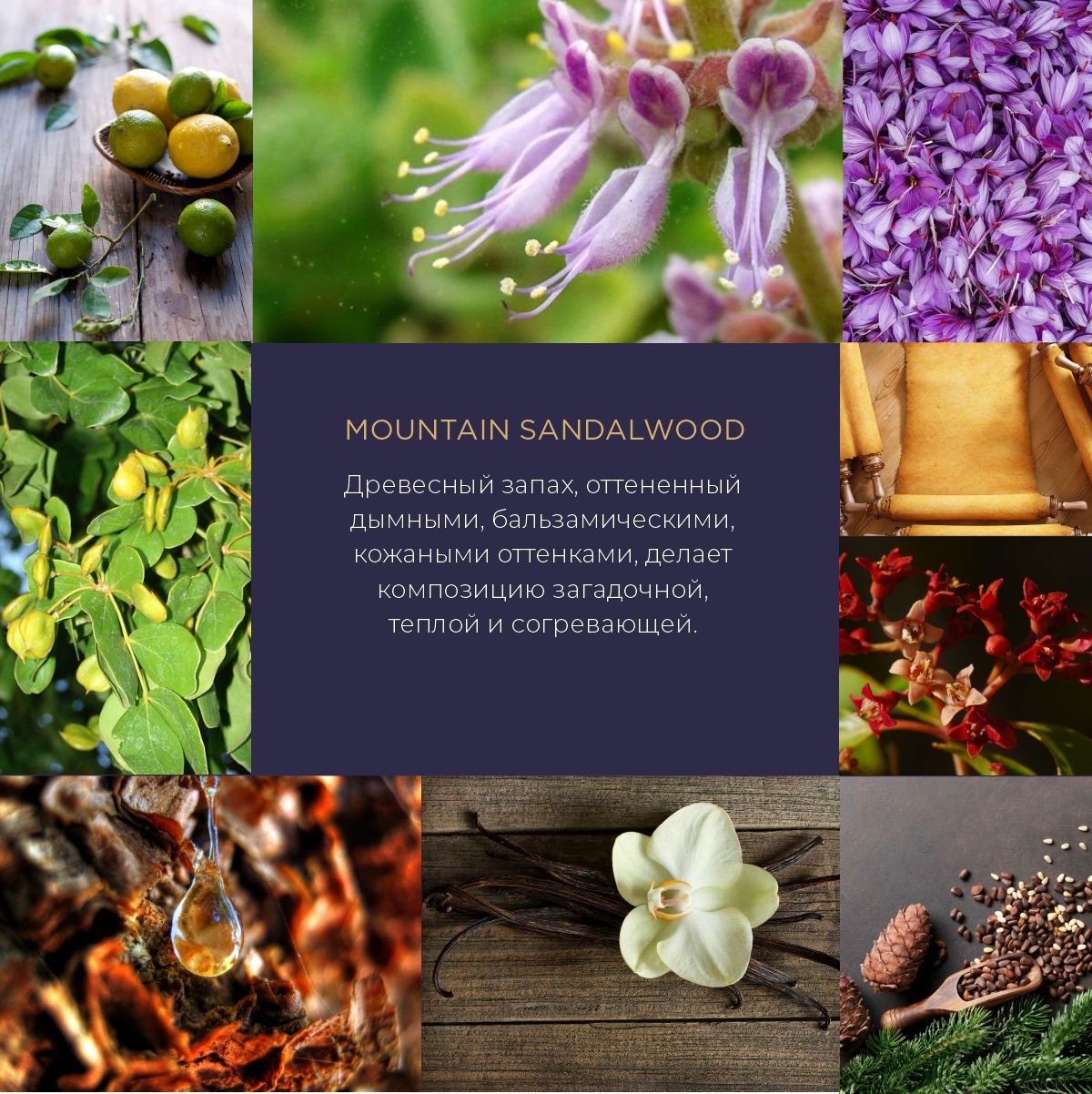 Свеча ароматическая La Prima Mountain Sandalwood (Горный сандал)