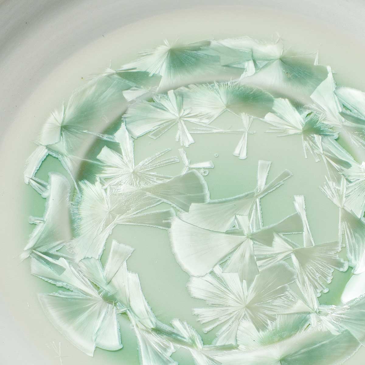 Чайная пара Home Chef Frost