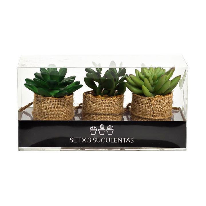 Набор суккулентов Гарда Декор, 3шт