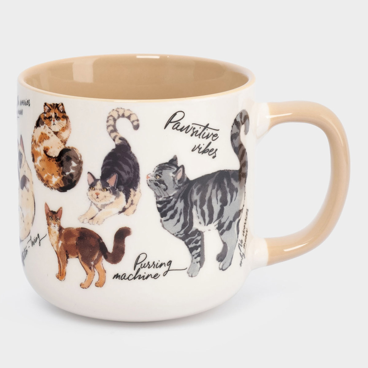 Кружка Anna Lafarg Pets Коты