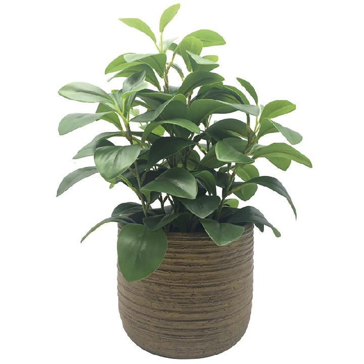 Искусственное растение Hogewoning Vases & Pots Фасоль 38см