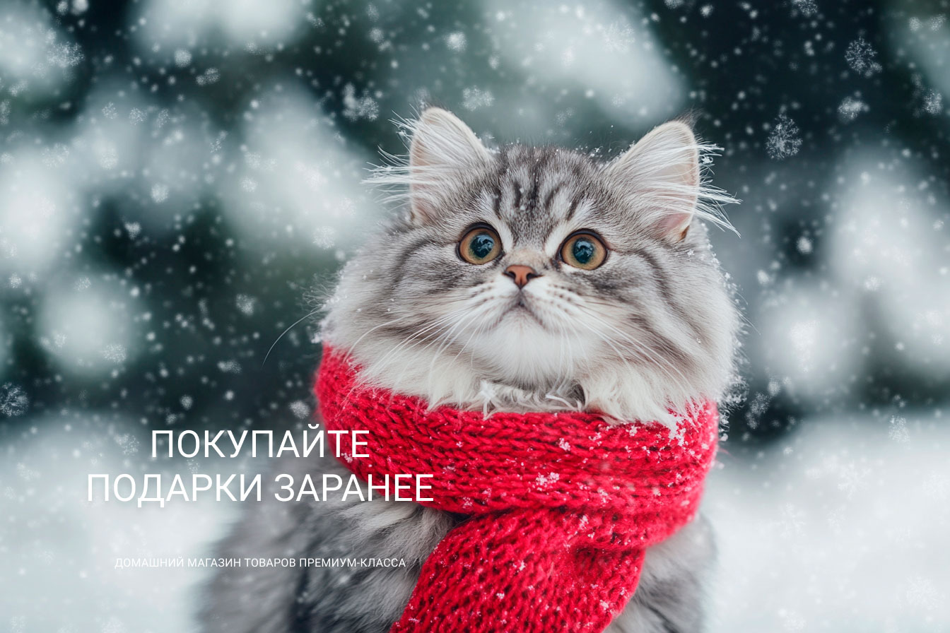 Заказывайте подарки заранее!