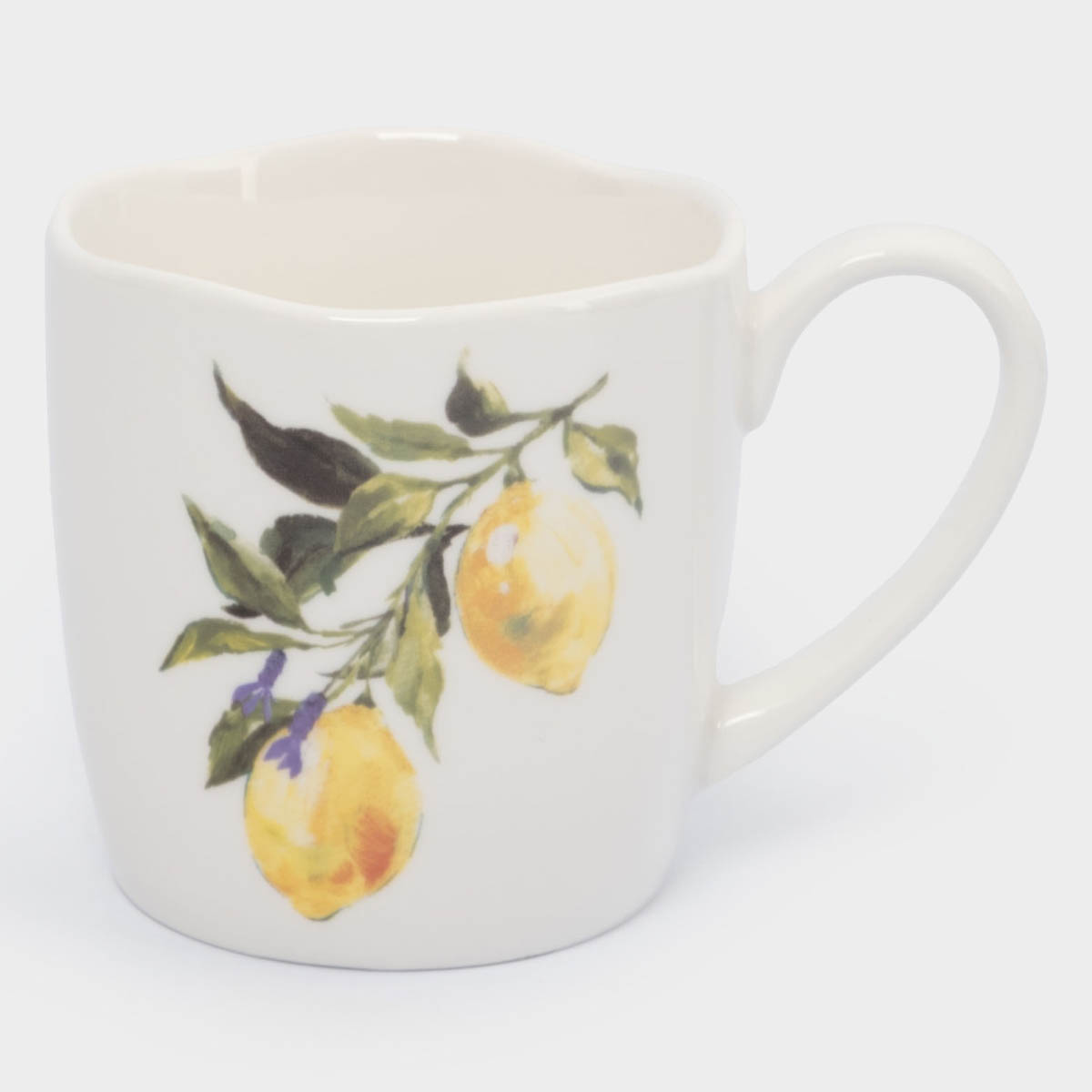 Кружка Anna Lafarg Лимонная ветвь