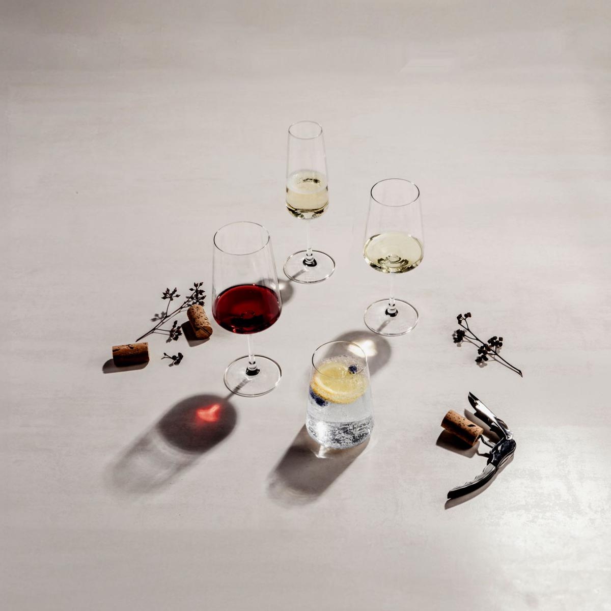 Набор бокалов для белого вина Schott Zwiesel Miovino