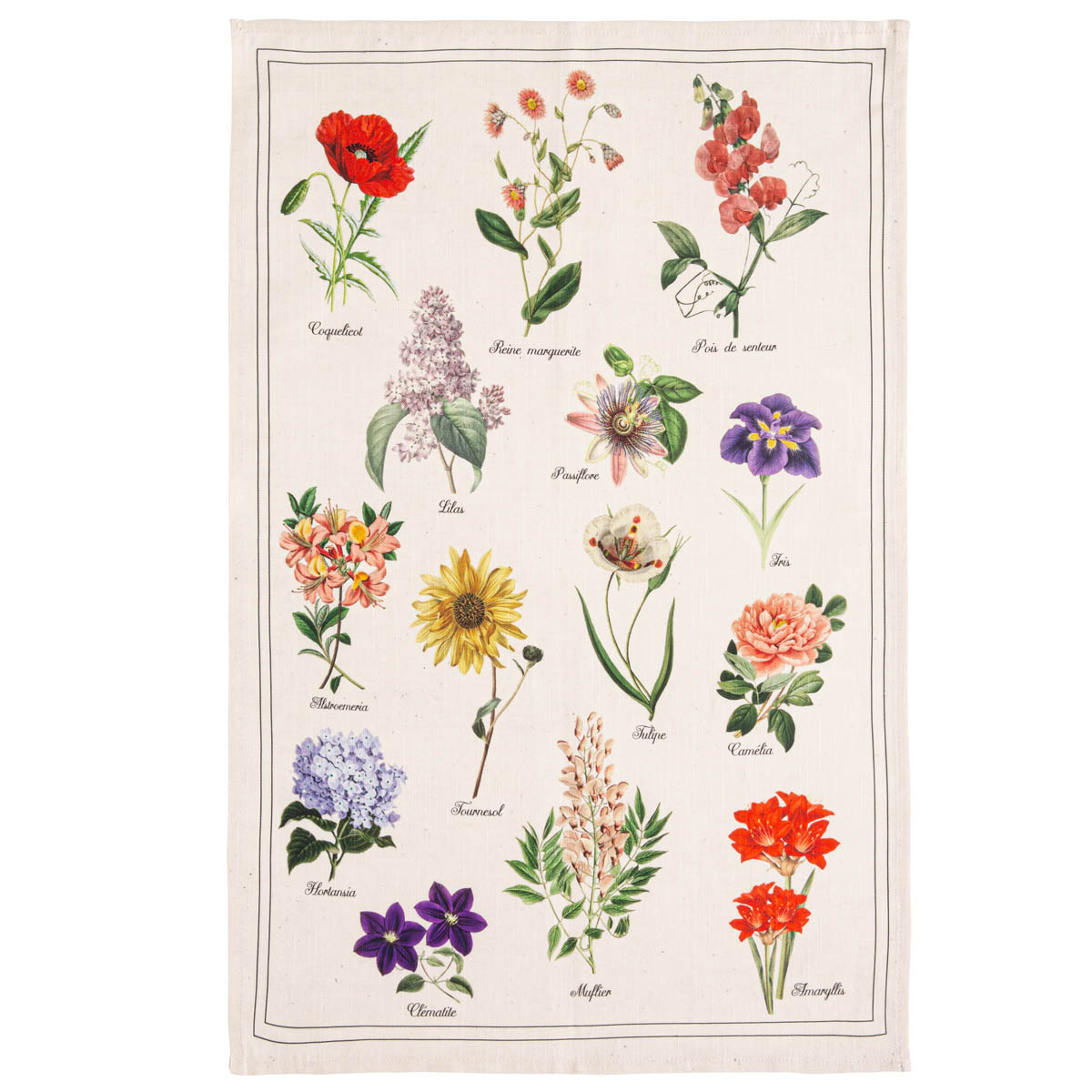 Полотенце кухонное Coucke Botanique Herbier