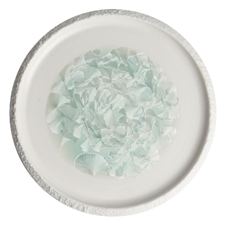 Тарелка с вертикальным бортом Home Chef Frost 24,5см