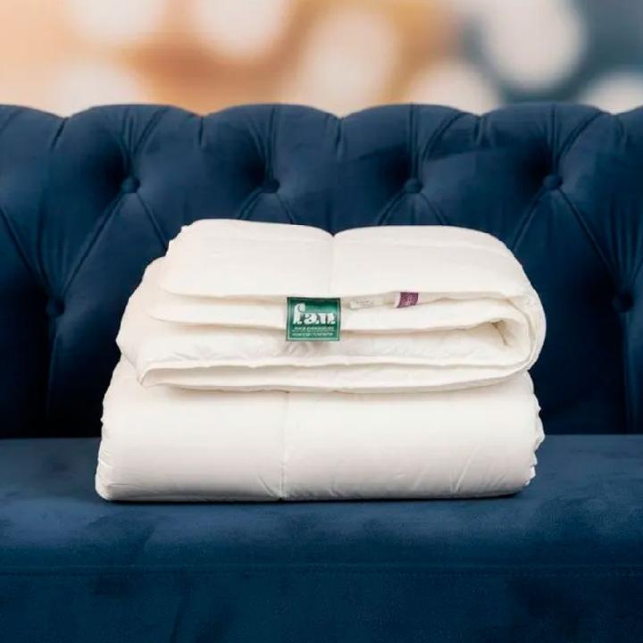 Одеяло евро 200x220см Frankenstolz Munchen