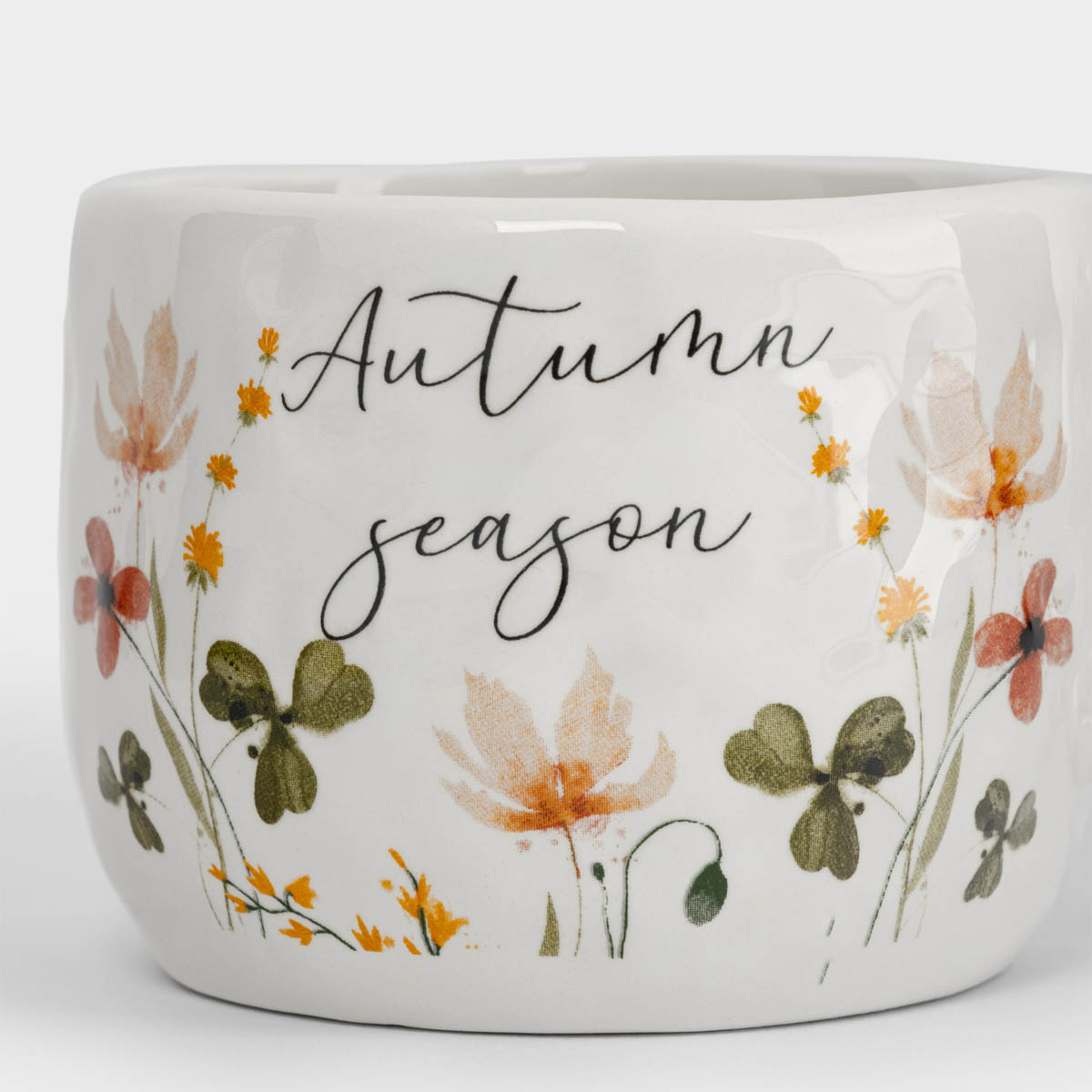 Кружка Anna Lafarg Autumn Motifs Цветы и листья