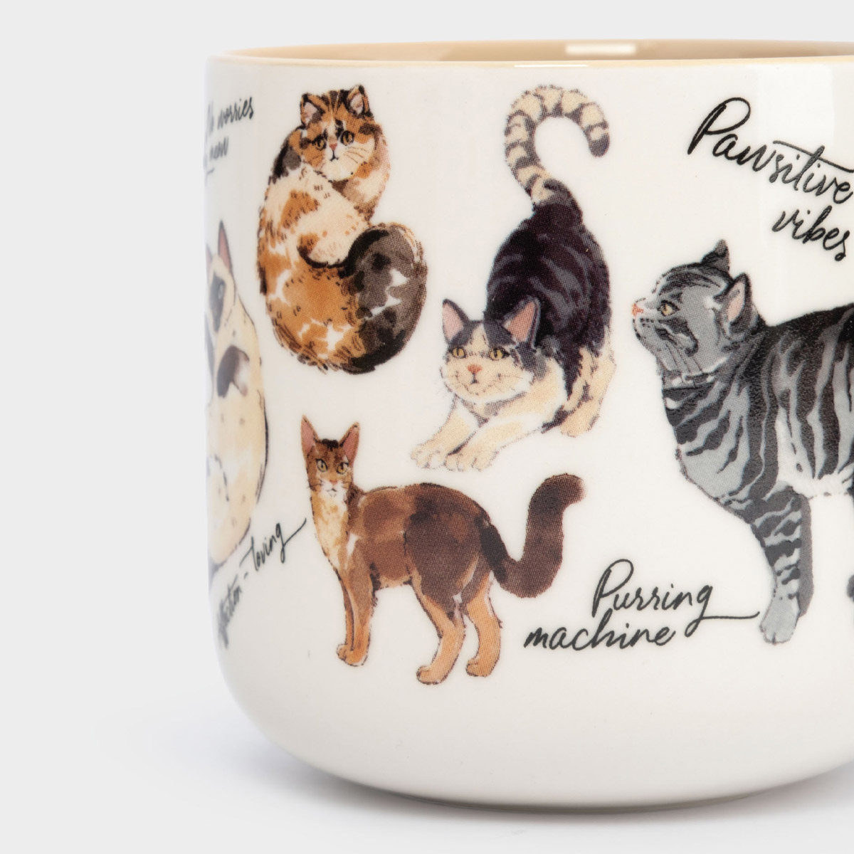 Кружка Anna Lafarg Pets Коты