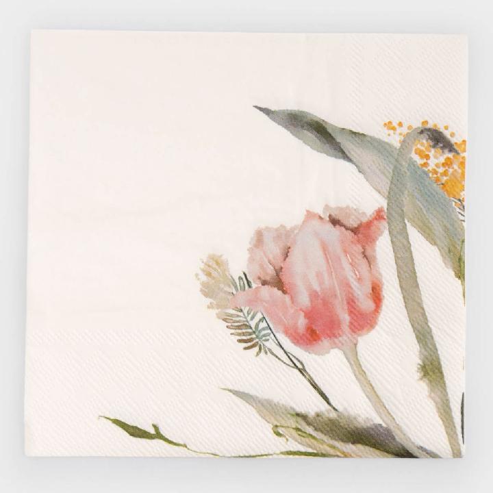 Салфетки бумажные Anna Lafarg Тюльпан 20шт