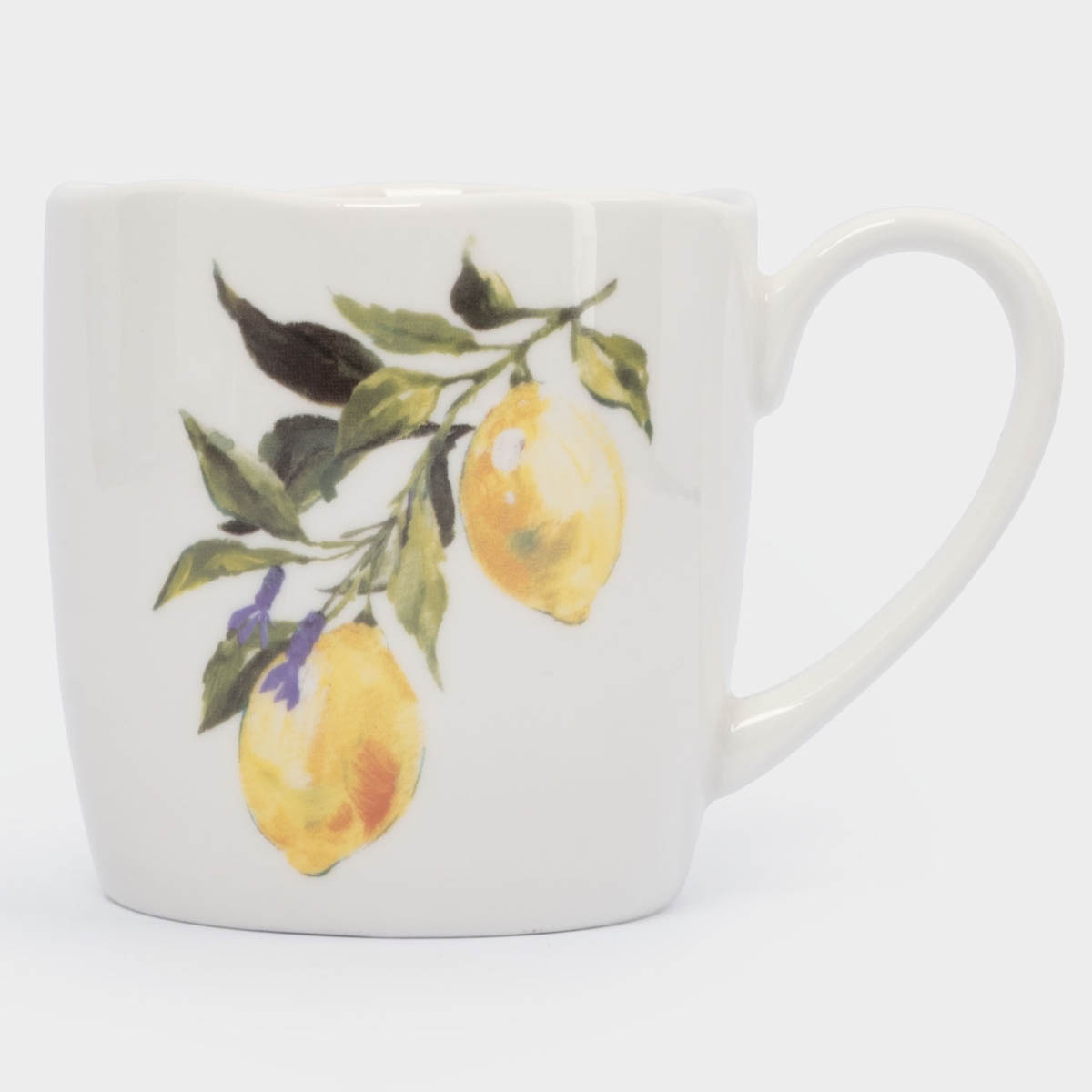 Кружка Anna Lafarg Лимонная ветвь