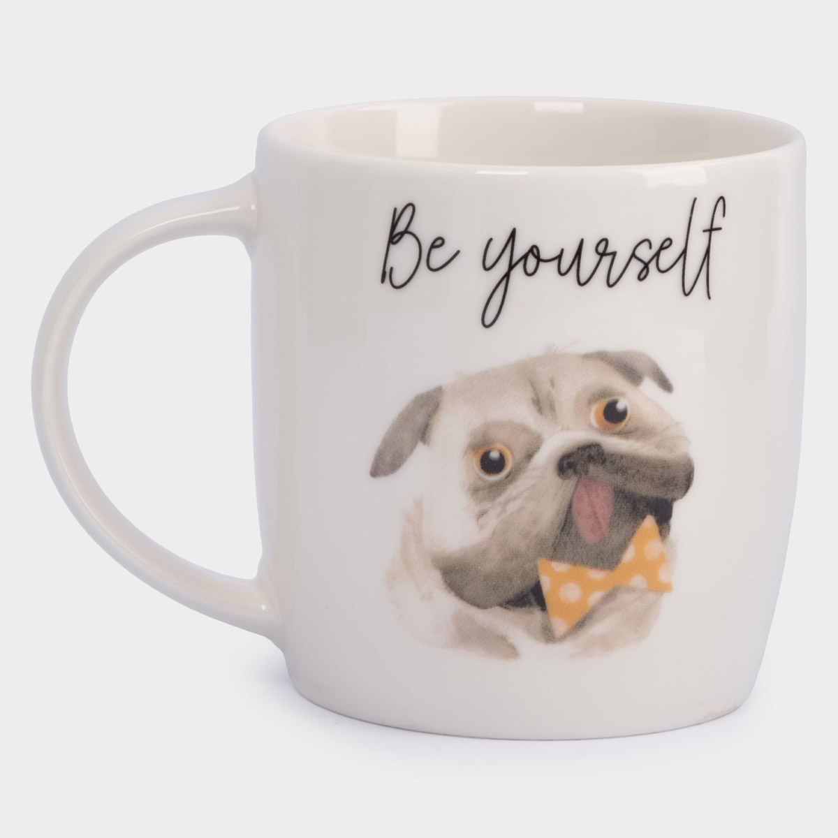 Кружка Anna Lafarg Pets Серый кот и Пес