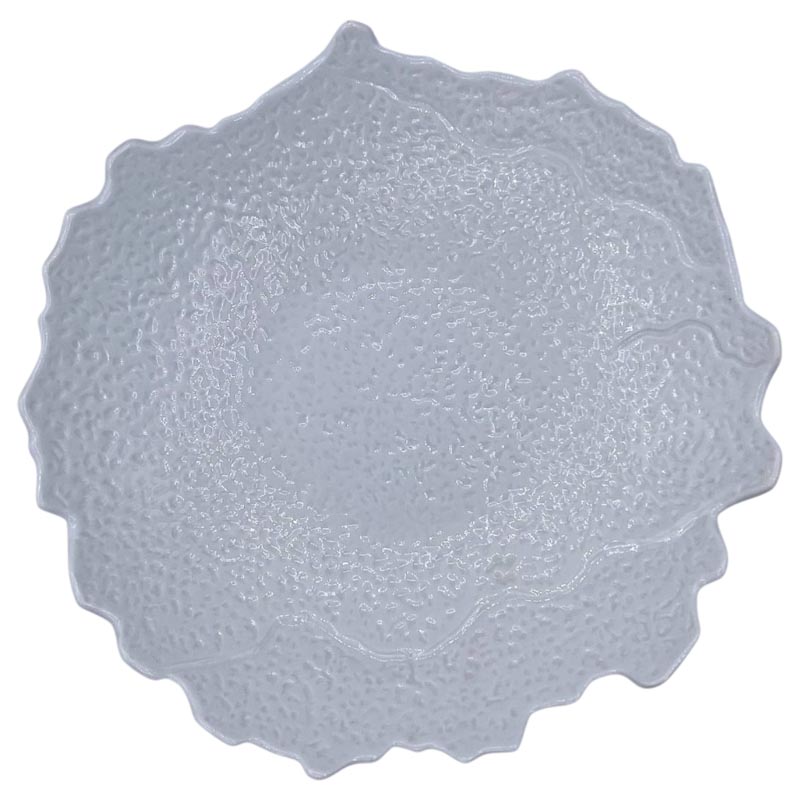 Салатник 24x5,5см Kenai Ceramics PuraSangre, белый