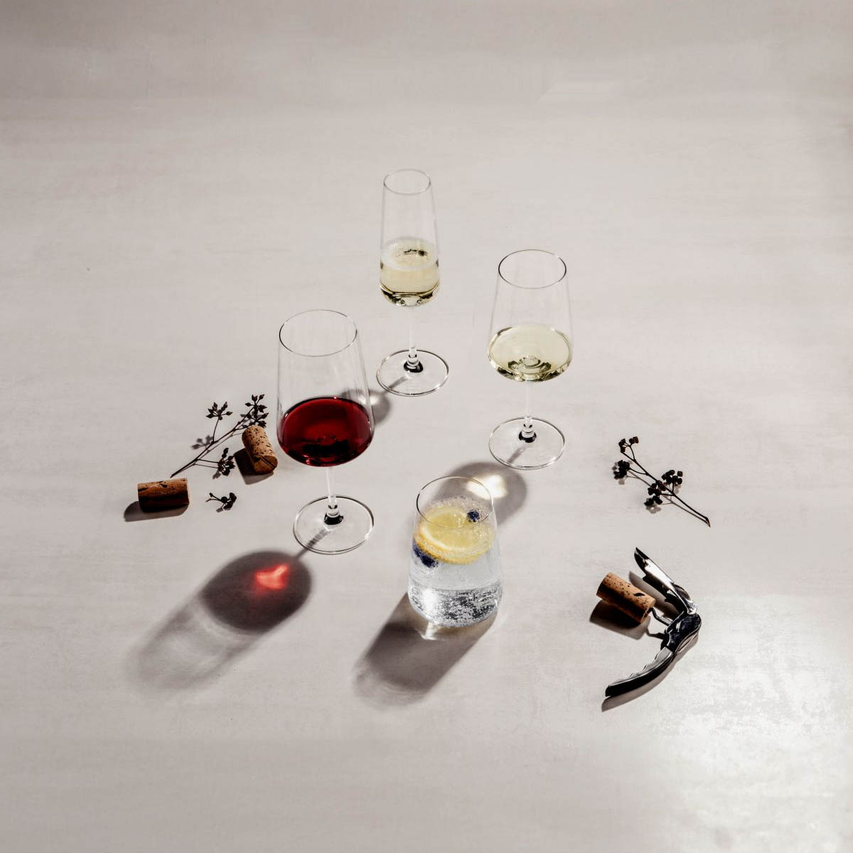 Набор бокалов для красного вина Schott Zwiesel Miovino