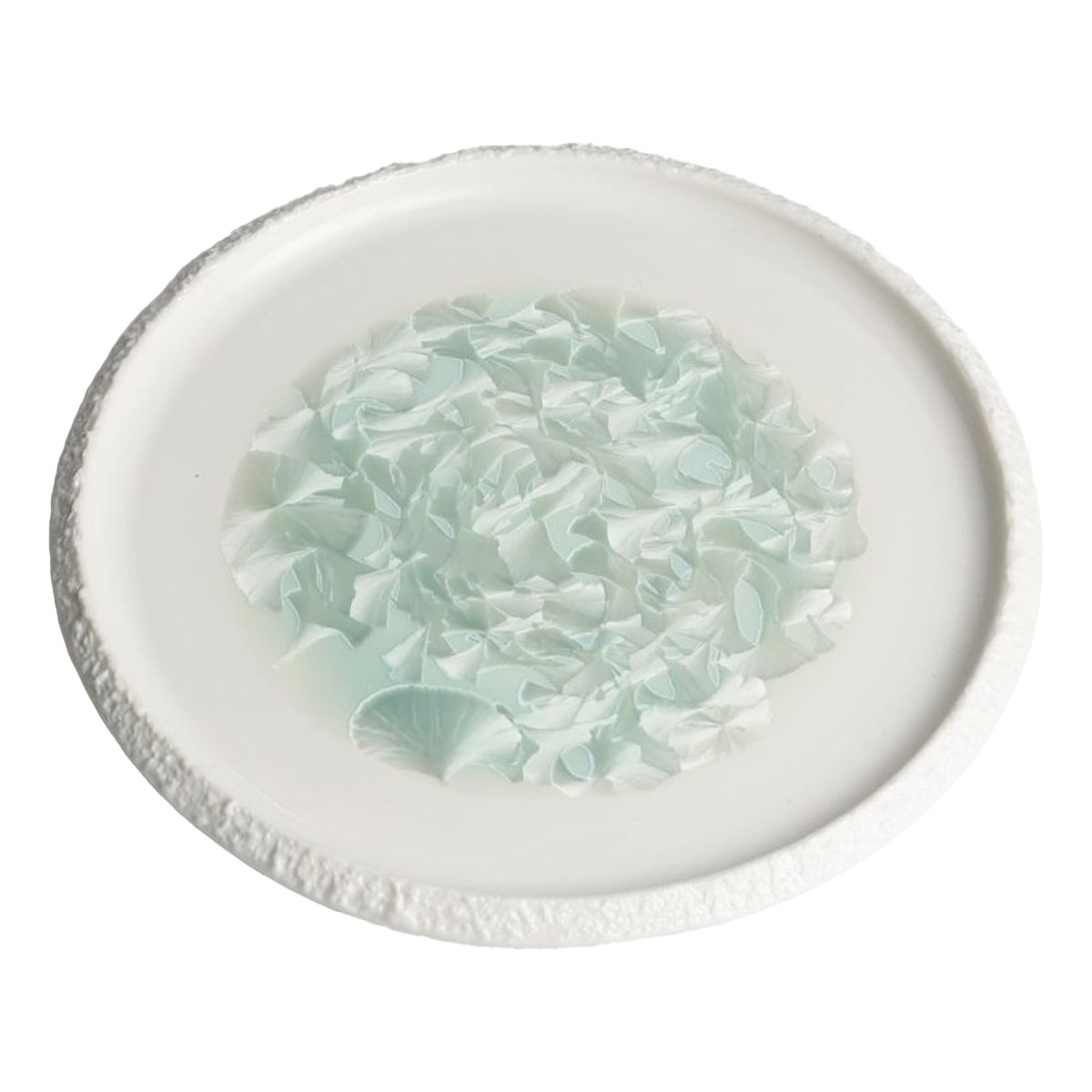 Тарелка с вертикальным бортом Home Chef Frost 24,5см