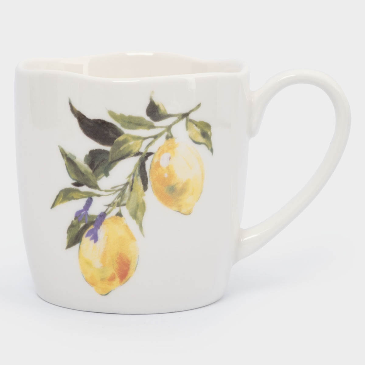 Кружка Anna Lafarg Лимонная ветвь