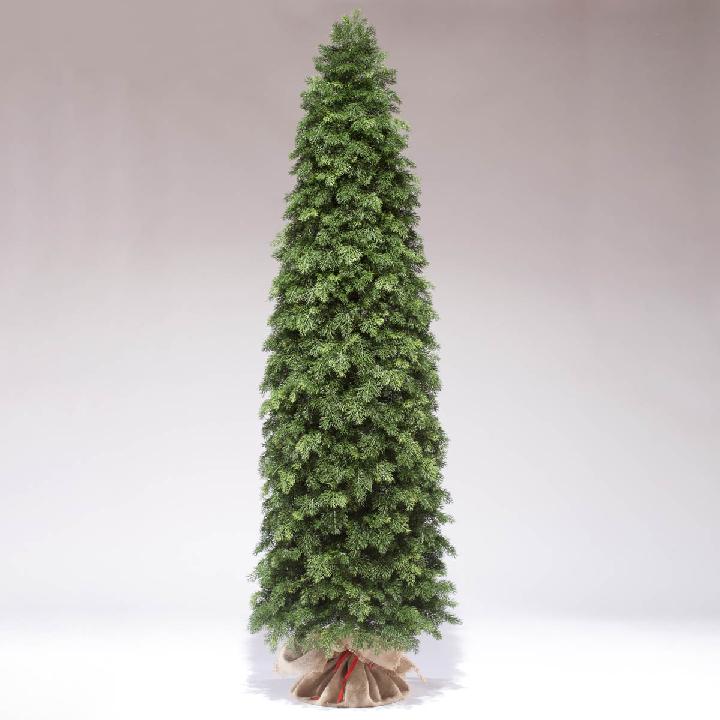 Туя ElkaDe 180см