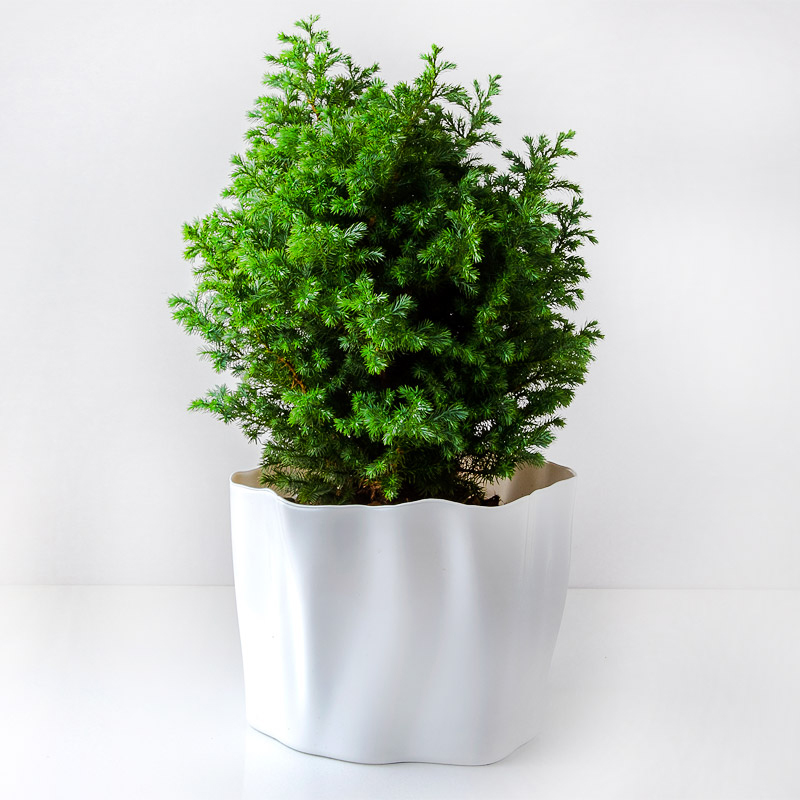 Органайзер средний Qualy Flow, белый