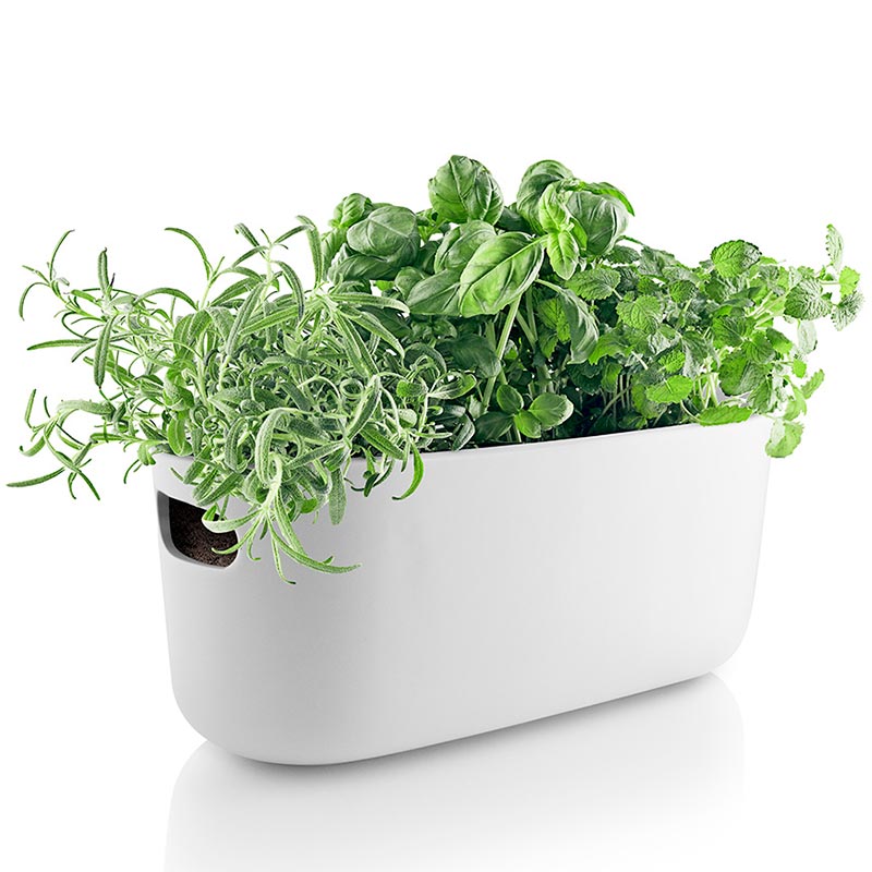 

Кашпо Eva Solo Herb с функцией самополива, Белый