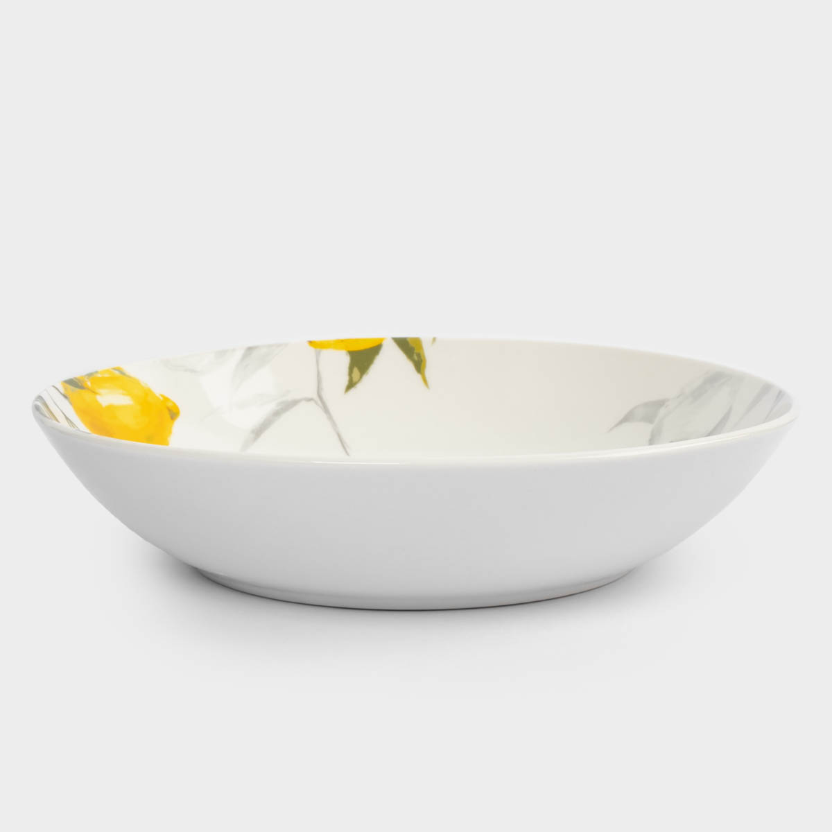 Сервиз обеденный Anna Lafarg Лимоны 18 предметов на 6 персон