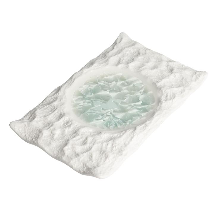 Блюдо прямоугольное Home Chef Frost