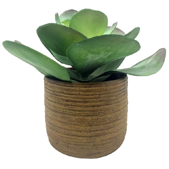 Искусственное растение Hogewoning Vases & Pots Листья лотоса 27см