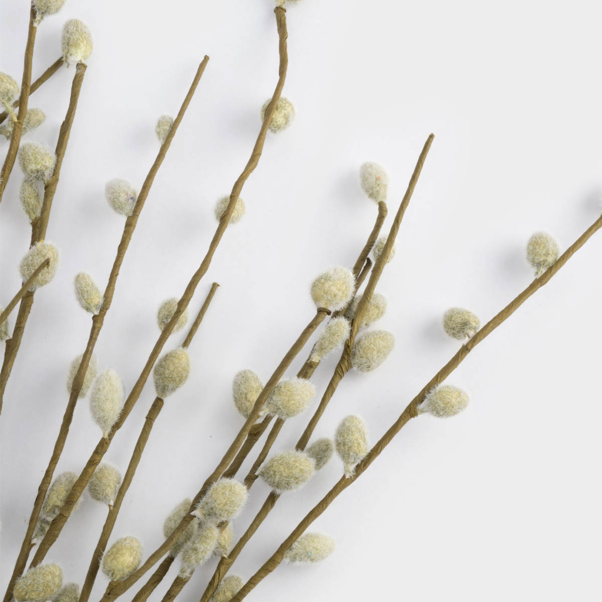 Ветка декоративная Anna Lafarg Пасха Натуральная Верба 55см