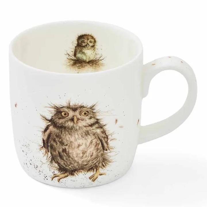 Набор кружек Royal Worcester’s Wrendale Designs Owl 6шт