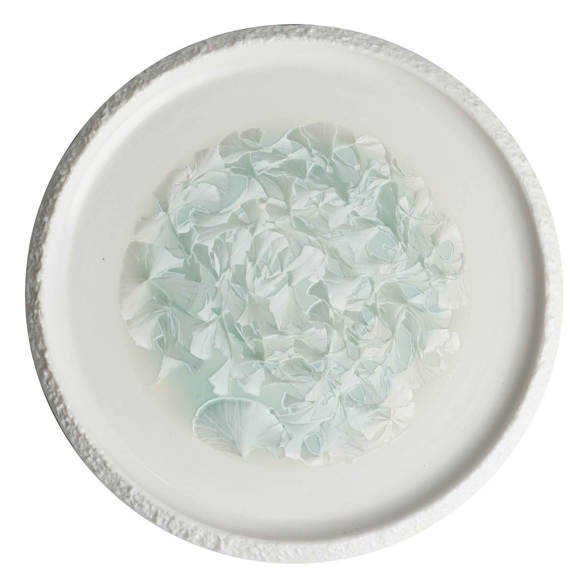 Тарелка с вертикальным бортом Home Chef Frost 15см