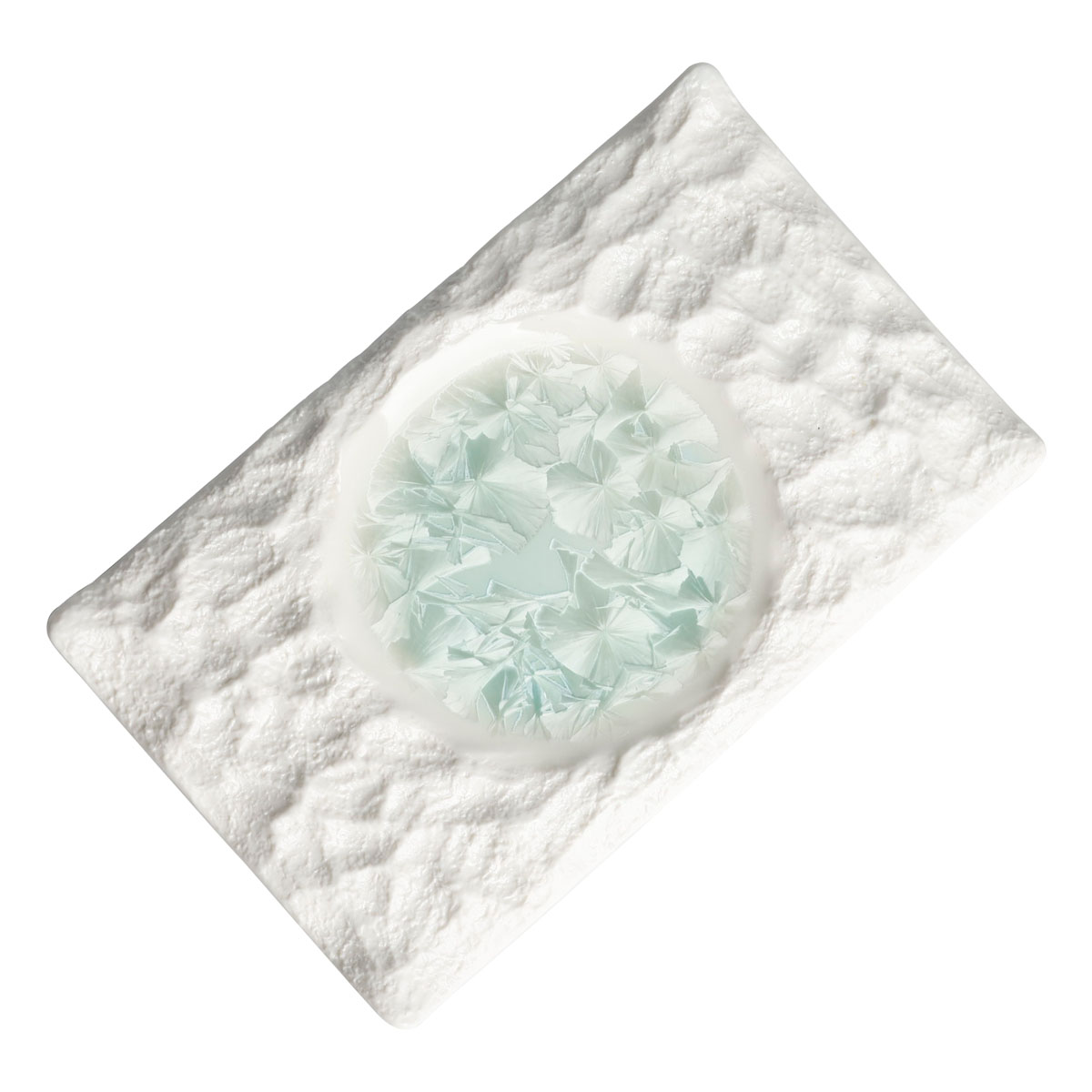 Блюдо прямоугольное Home Chef Frost