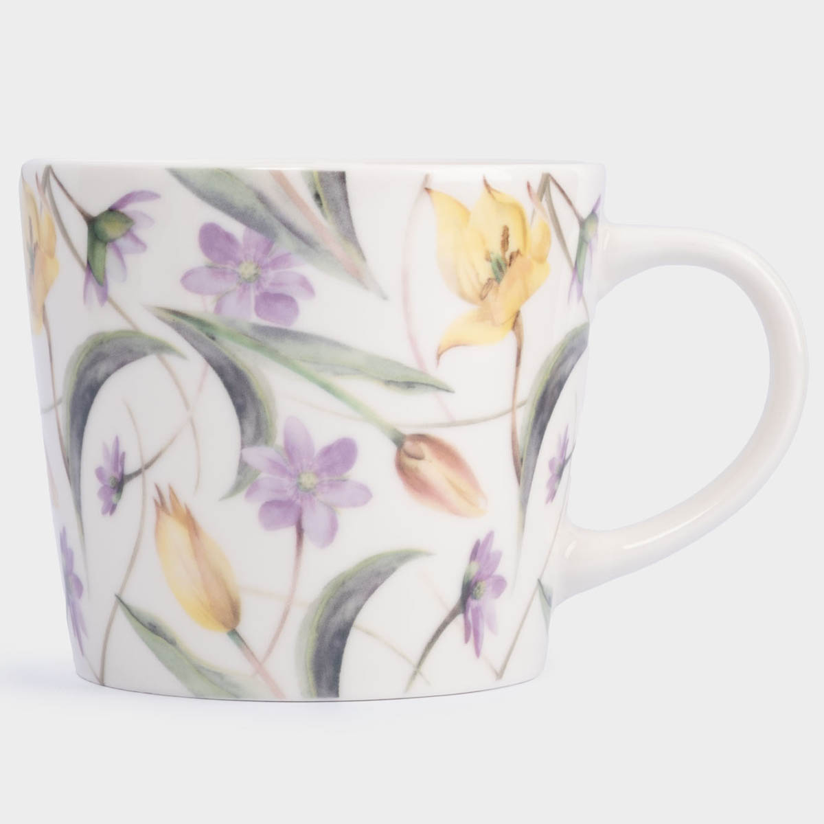 Набор кружек Anna Lafarg Лимоны Летящие цветы, 2шт