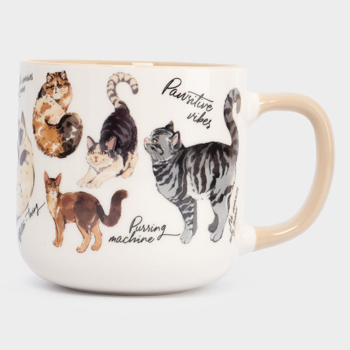 Кружка Anna Lafarg Pets Коты