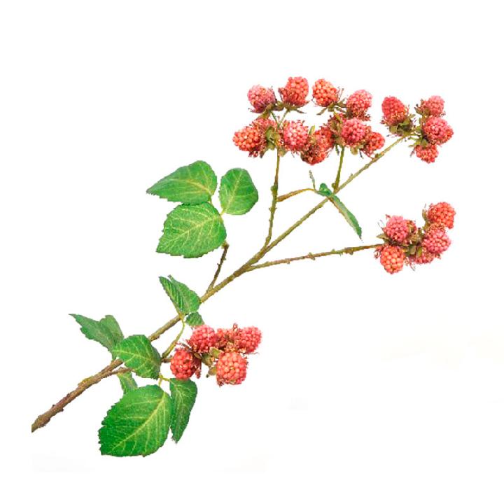 Искусственные цветы Silk-ka Ветка шелковицы с ягодами 78см