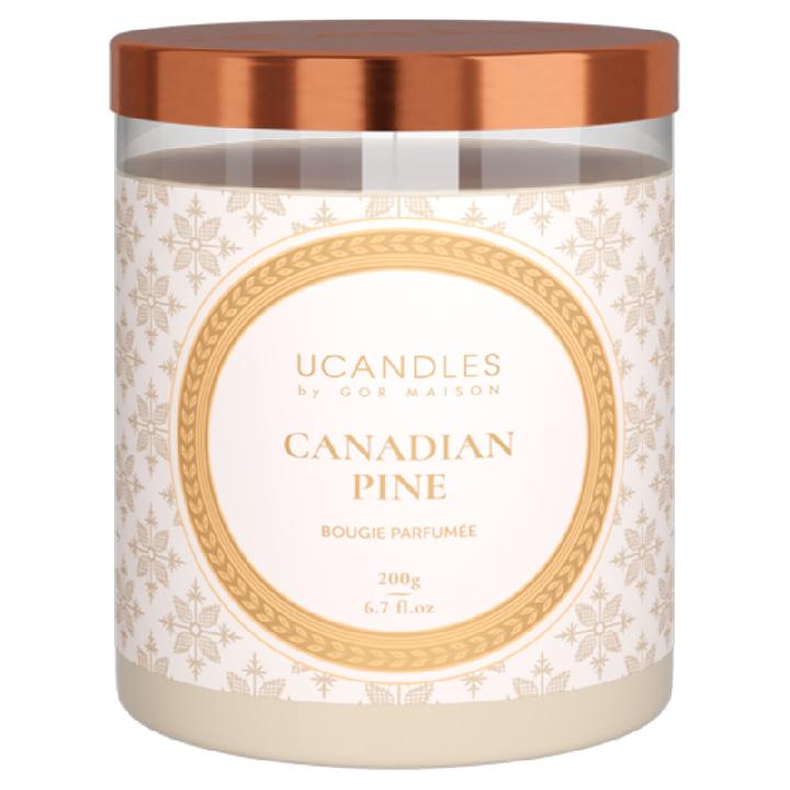 Свеча ароматическая Ucandles by Gor Maison Классическая Canadian Pine