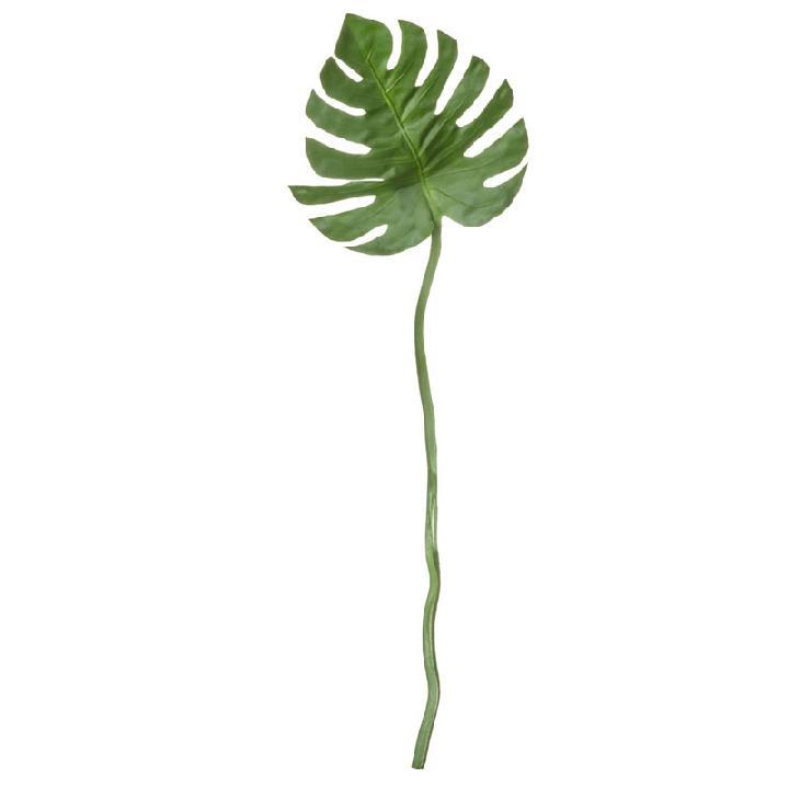 Растение декоративное Asa Selection Deko лист Филодендрона