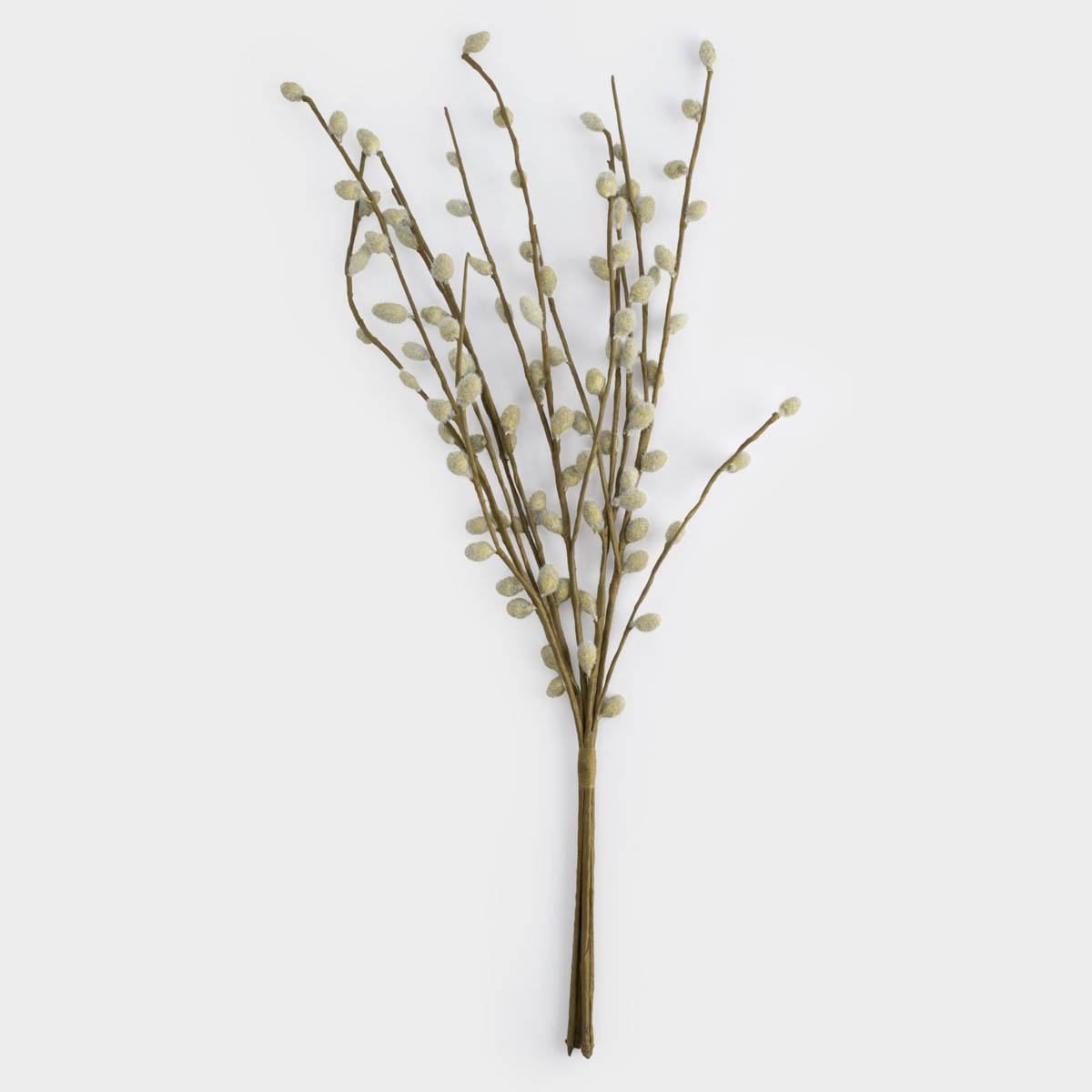 Ветка декоративная Anna Lafarg Пасха Натуральная Верба 55см