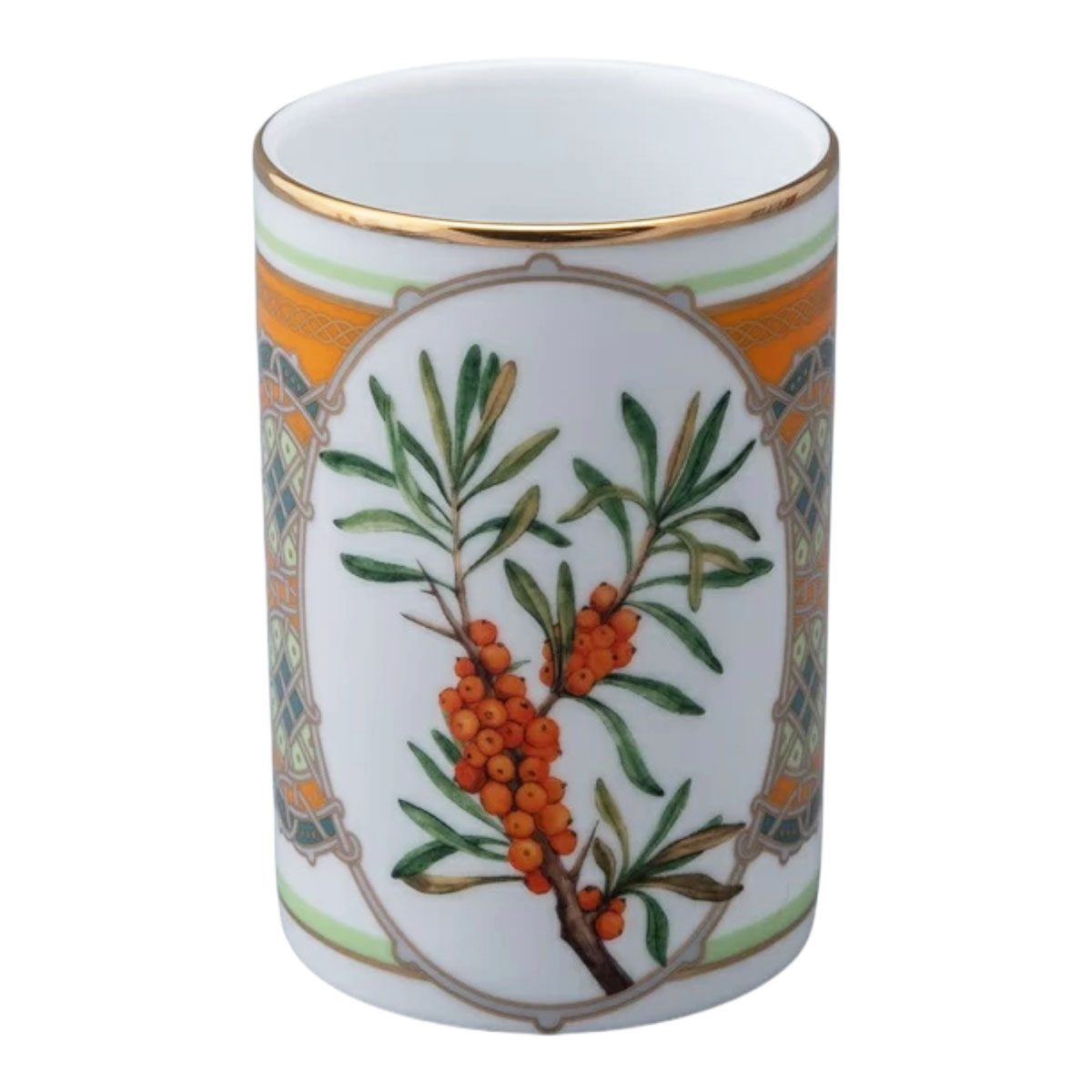 Кружка ИФЗ Цветы и ягоды России. Облепиха сибирская