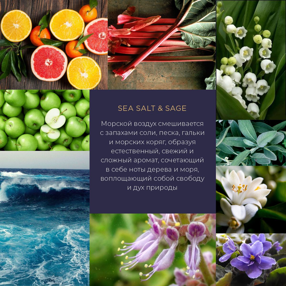 Свеча ароматическая La Prima Sea salt & sage (Морская соль и шалфей)