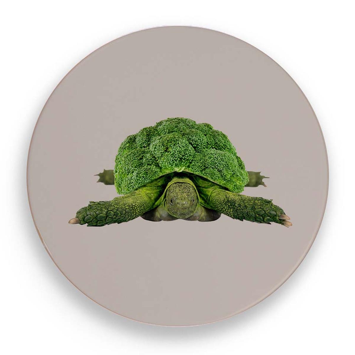 Подставка под горячее WD Lifestyle Mykonos Turtle