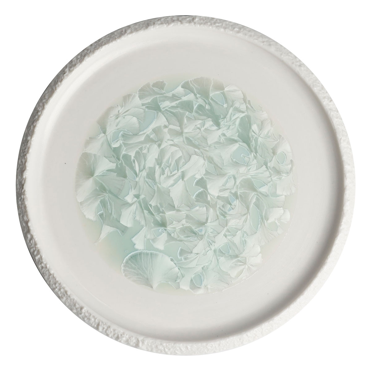 Тарелка с вертикальным бортом Home Chef Frost 24,5см