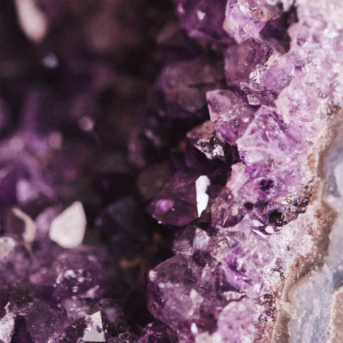 Ароматические карточки Millefiori Milano Фиолетовый аметист