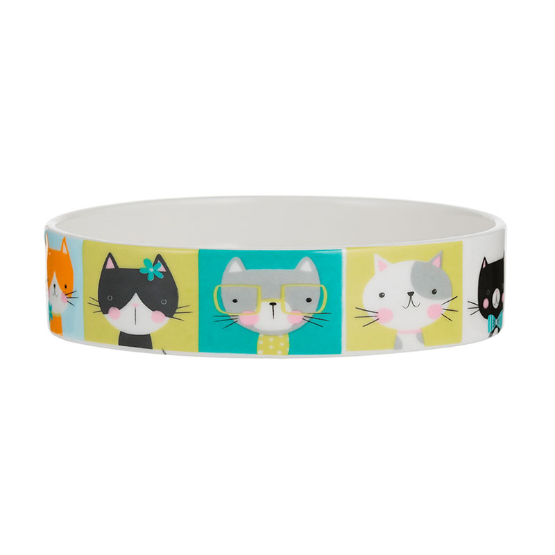 

Миска для кошек Mason Cash Pawtrait, Разноцветный