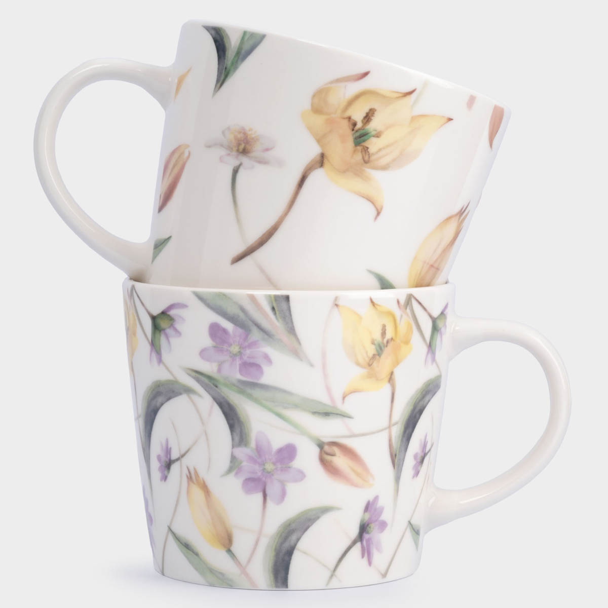 Набор кружек Anna Lafarg Лимоны Летящие цветы, 2шт