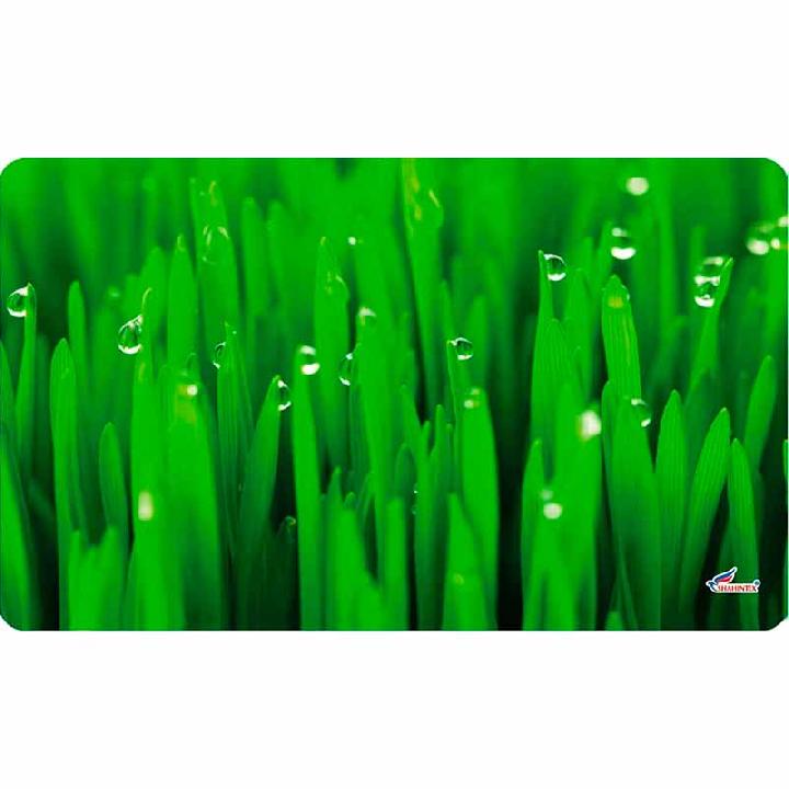 Универсальный коврик Shahintex Spring Photoprint SH P131 60x90см